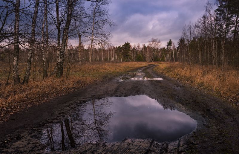 луг зима январь лужи  тучи Сникла прежняя краса, день незримо тает фото превью