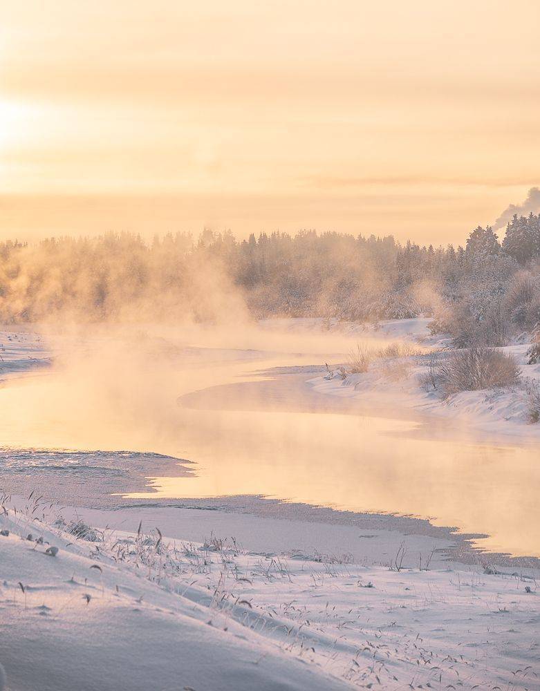 , Алексей Шуплецов
