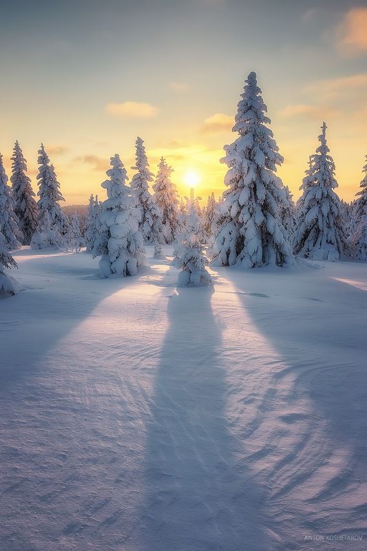 Мороз и солнце фото превью