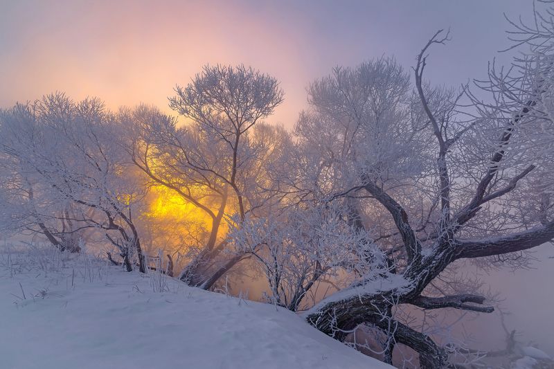 Разгорается... фото превью