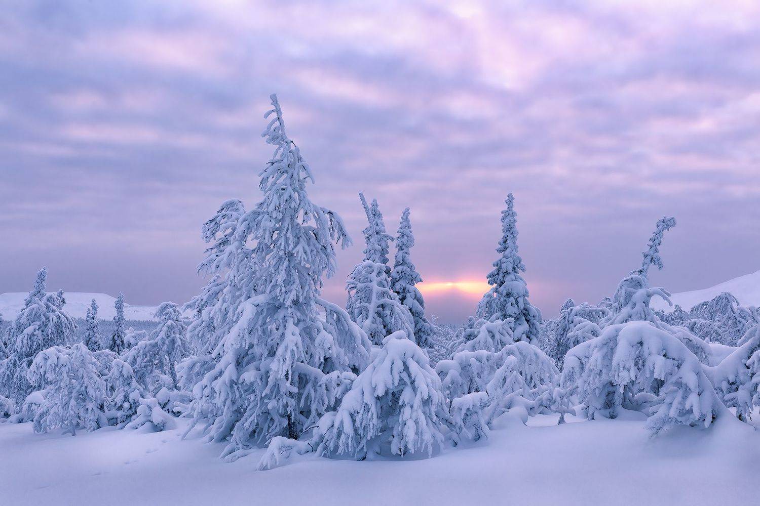 зима, урал, север, снег, ветер, сугроб, гух, главный уральский хребет, рассвет, Ирина Абатурова