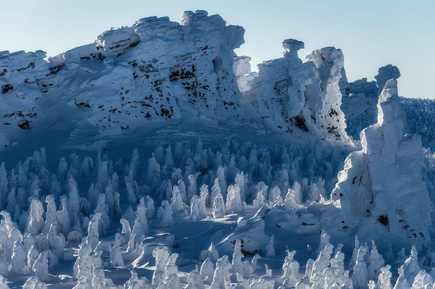 , Алексей Козаченко