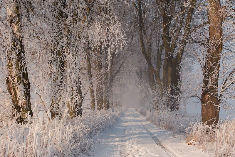Winter фото превью