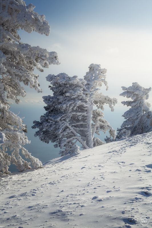 Зимняя сказка на Ай-Петри фото превью