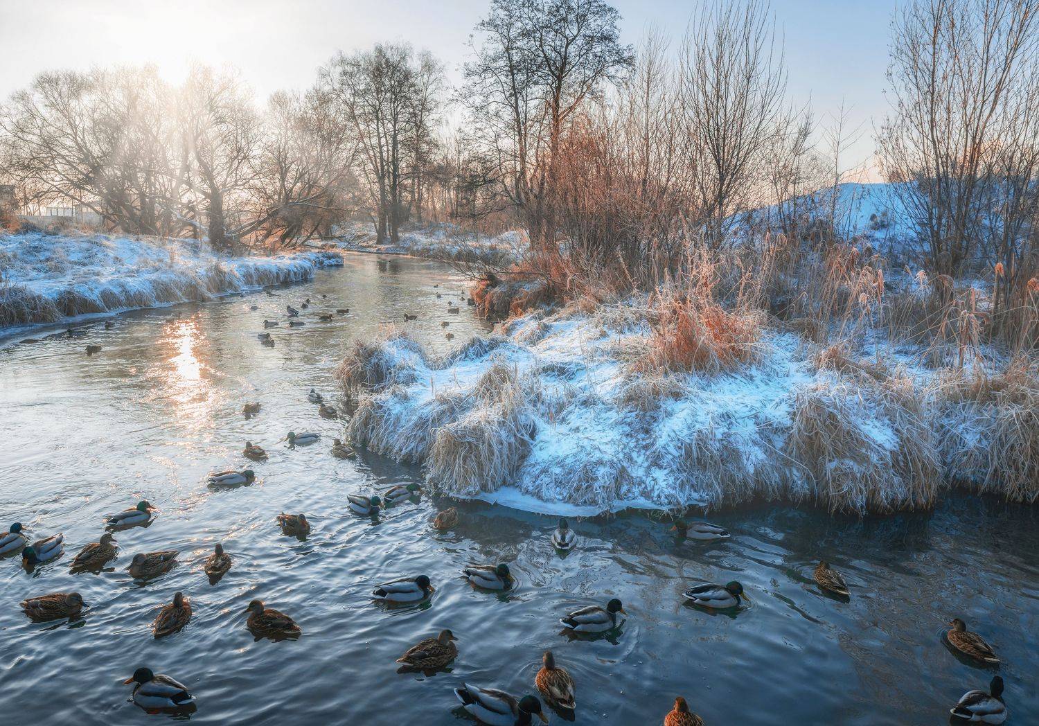 , Ольга Шацкая