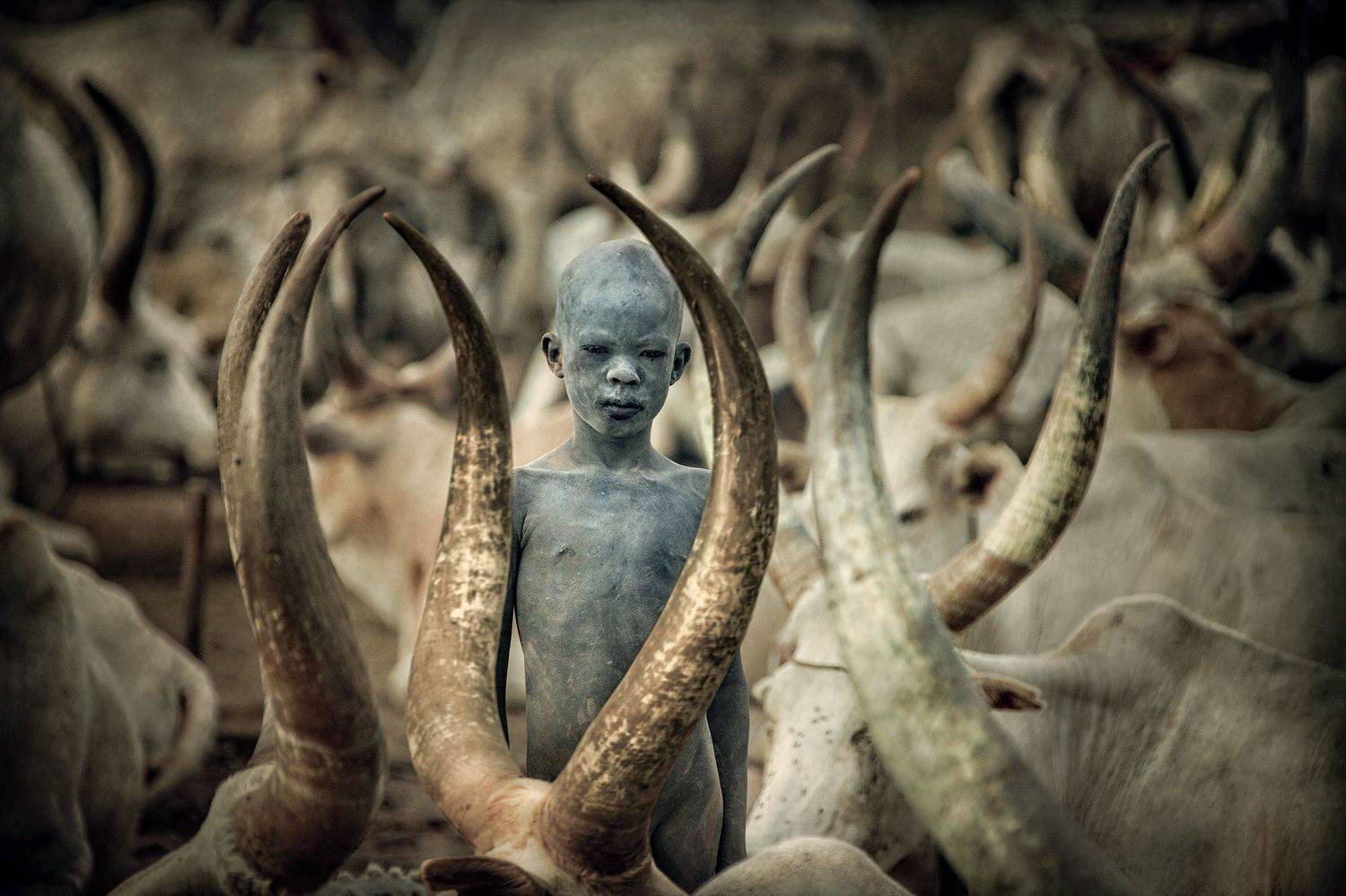 child,people,children,kids,boy,kid,africa,person,people,urban,woman,light,low key,low-key,girl,dark,fog,shadow,mundari,dinka,southsudan,sudan,tribal,tribe,africa,afrika,horns,sunset,sunrise,war,cattle,animal,nature,horn,wild,horned,cow,rural,south_sudan,c, Svetlin Yosifov