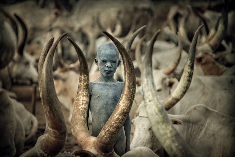 child,people,children,kids,boy,kid,africa,person,people,urban,woman,light,low key,low-key,girl,dark,fog,shadow,mundari,dinka,southsudan,sudan,tribal,tribe,africa,afrika,horns,sunset,sunrise,war,cattle,animal,nature,horn,wild,horned,cow,rural,south_sudan,c Child Mundari фото превью
