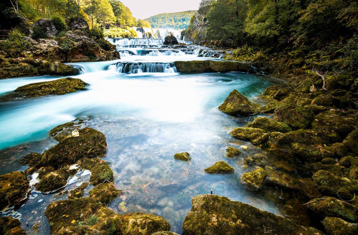 , Алексей Котлов