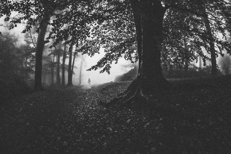 landscape,autumn,mountains,canon The Fog Engulfs Us... фото превью