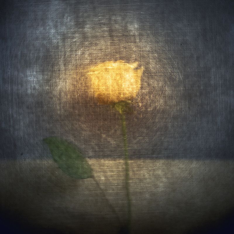 Зимнее солнце фото превью