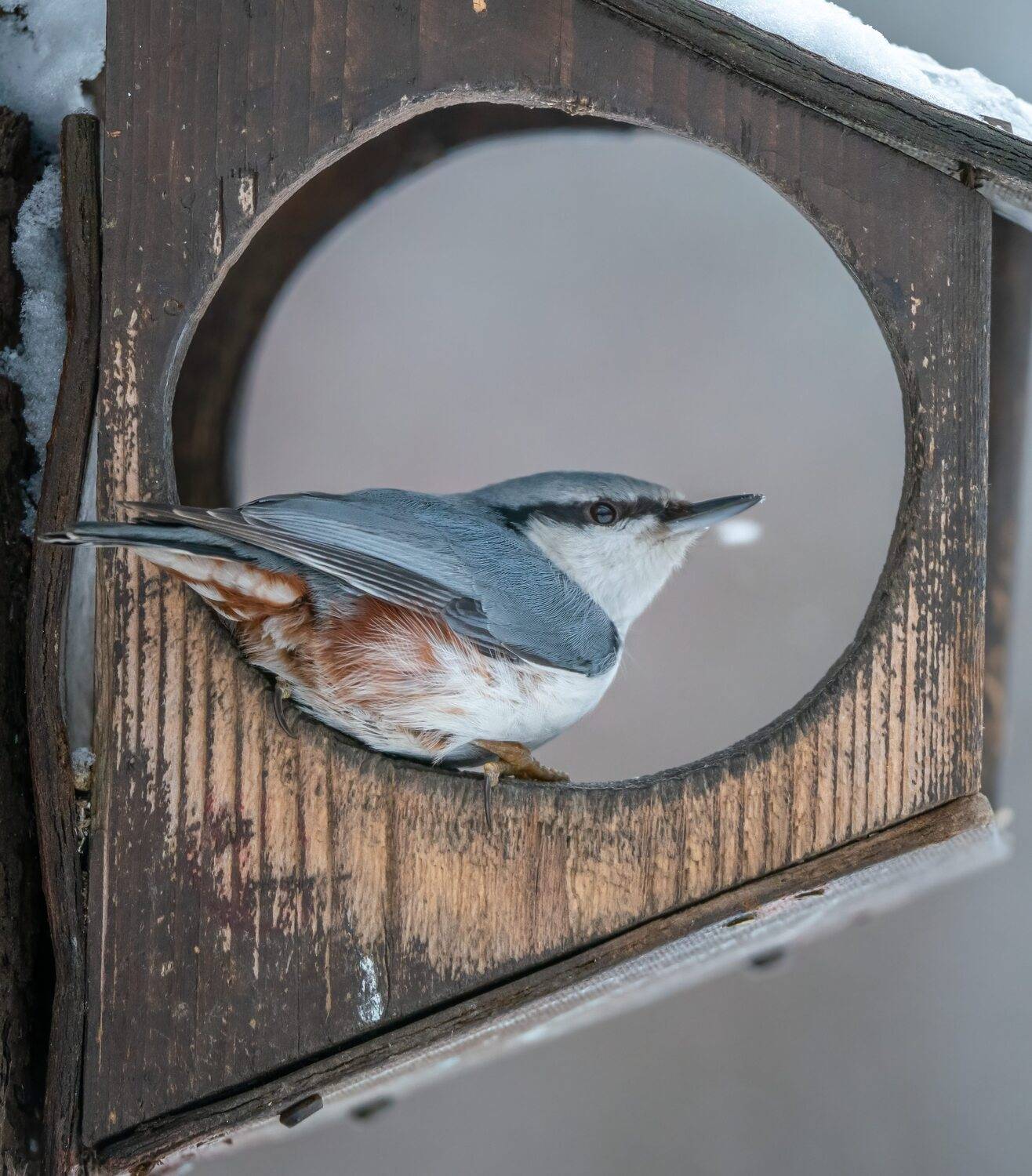 , Константин Дэм