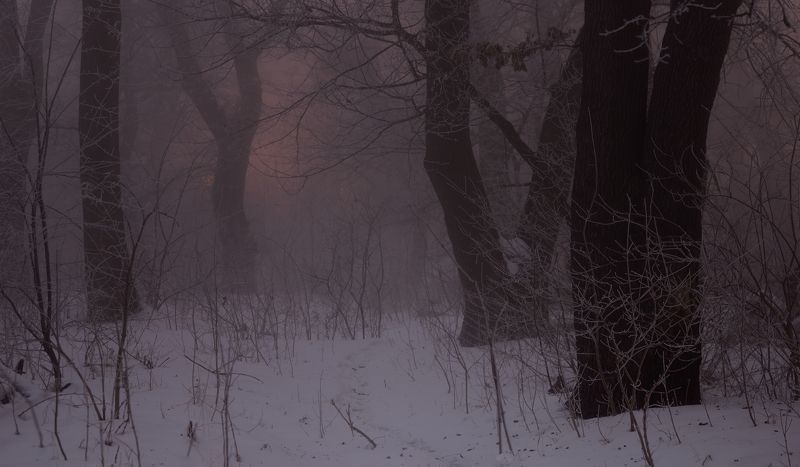 Зимний рассвет фото превью