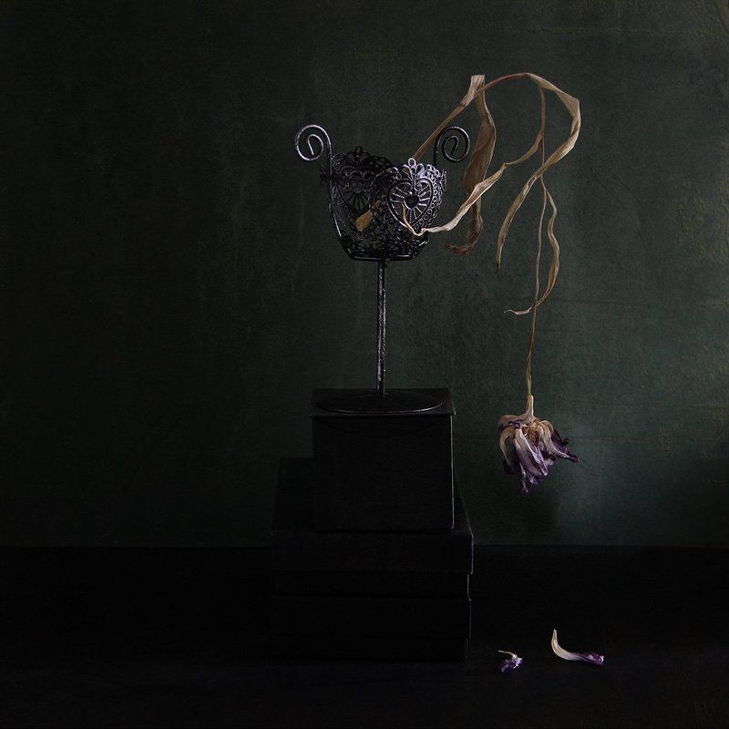 Под музыку Баха фото превью