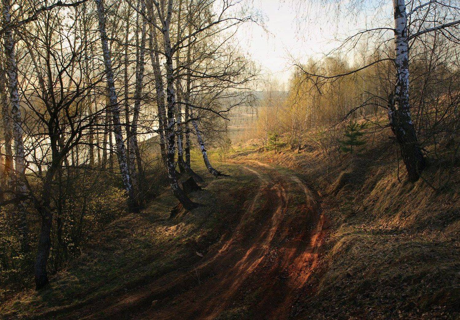 , Дмитрий Алексеев