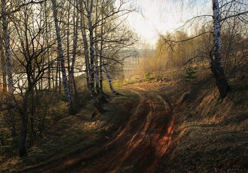 Спускаясь к Клязме фото превью