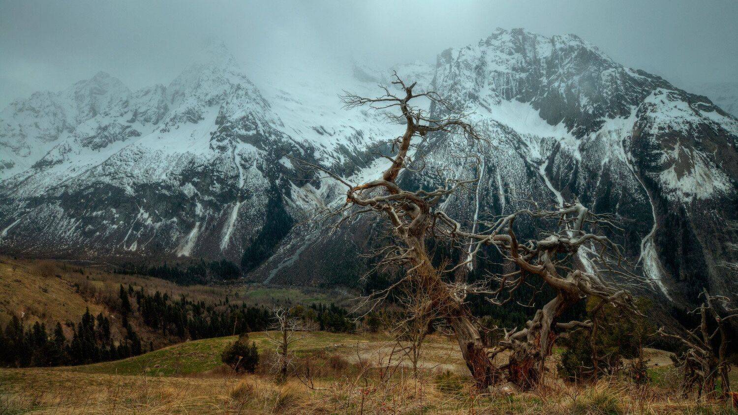 , Владлен Халимов