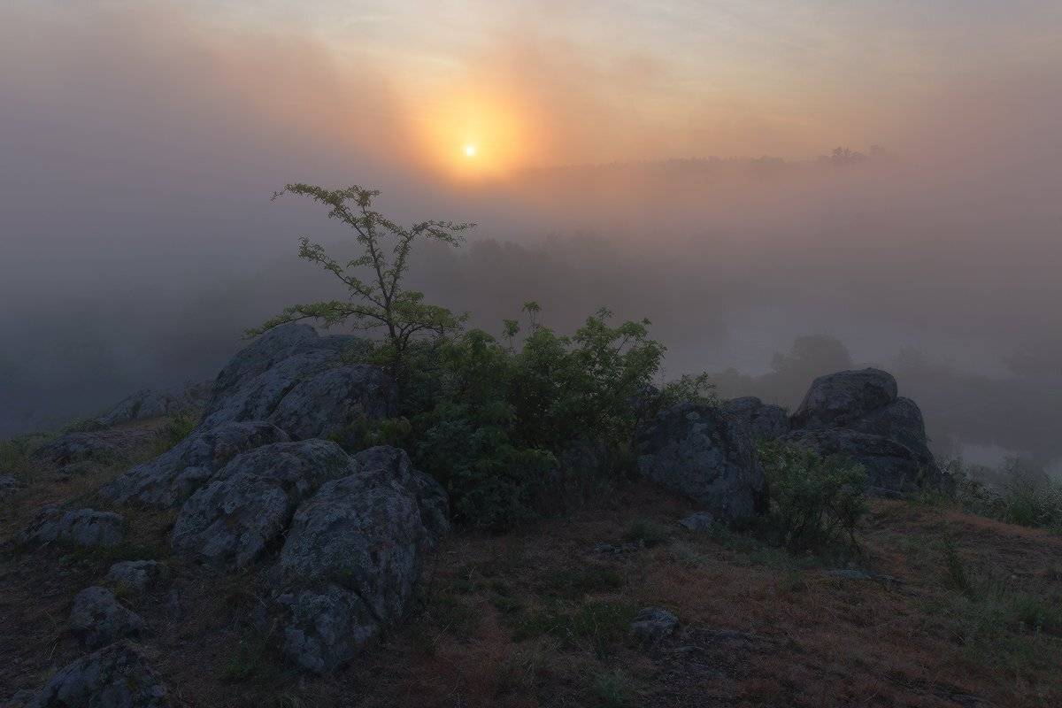 , Ярослав Тюрменко (Jaremi)