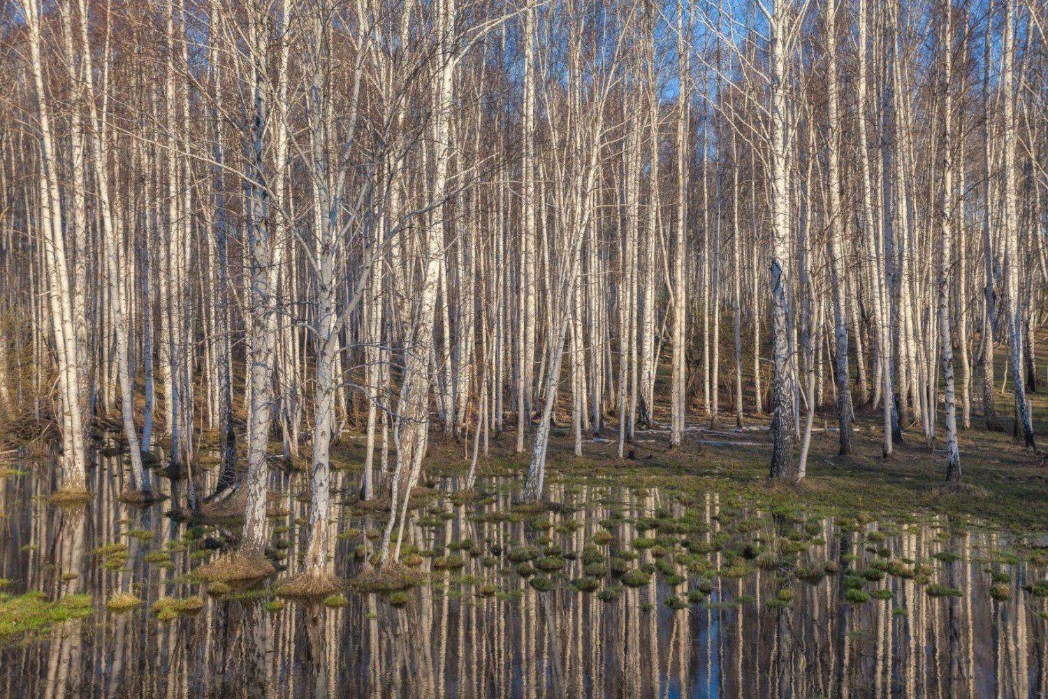 , Данил Ромодин