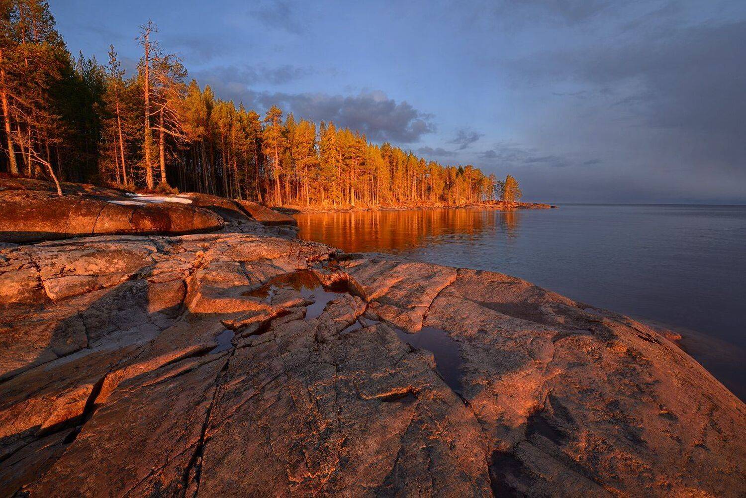 , Максим Евдокимов