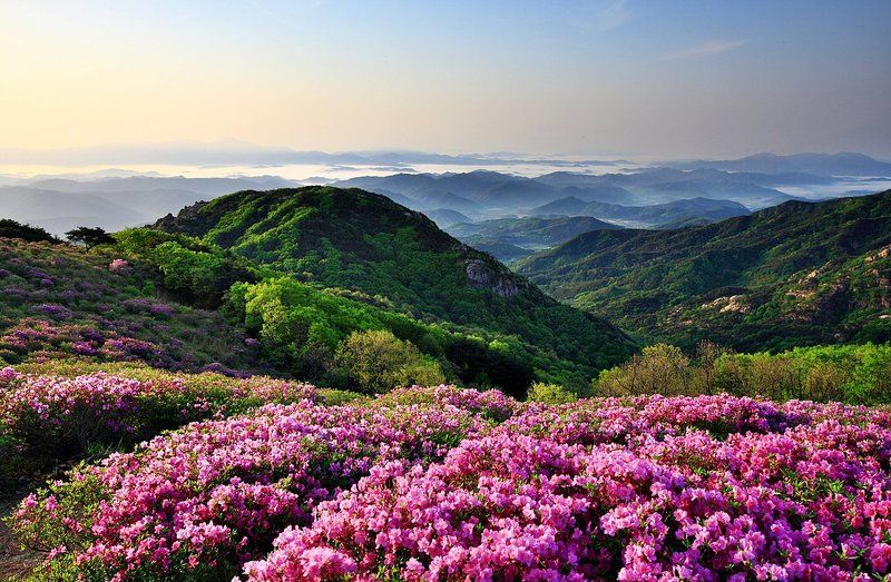 One spring day фото превью