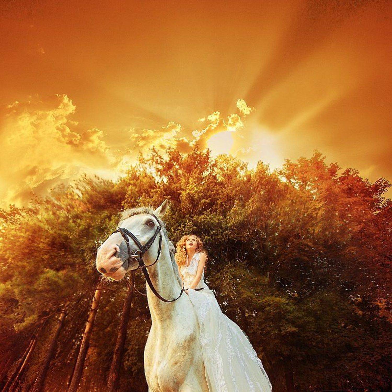 дмитро собокар, sobokarfoto, портрет, woman, dmytro sobokar, wedding,, Дмитро Собокар