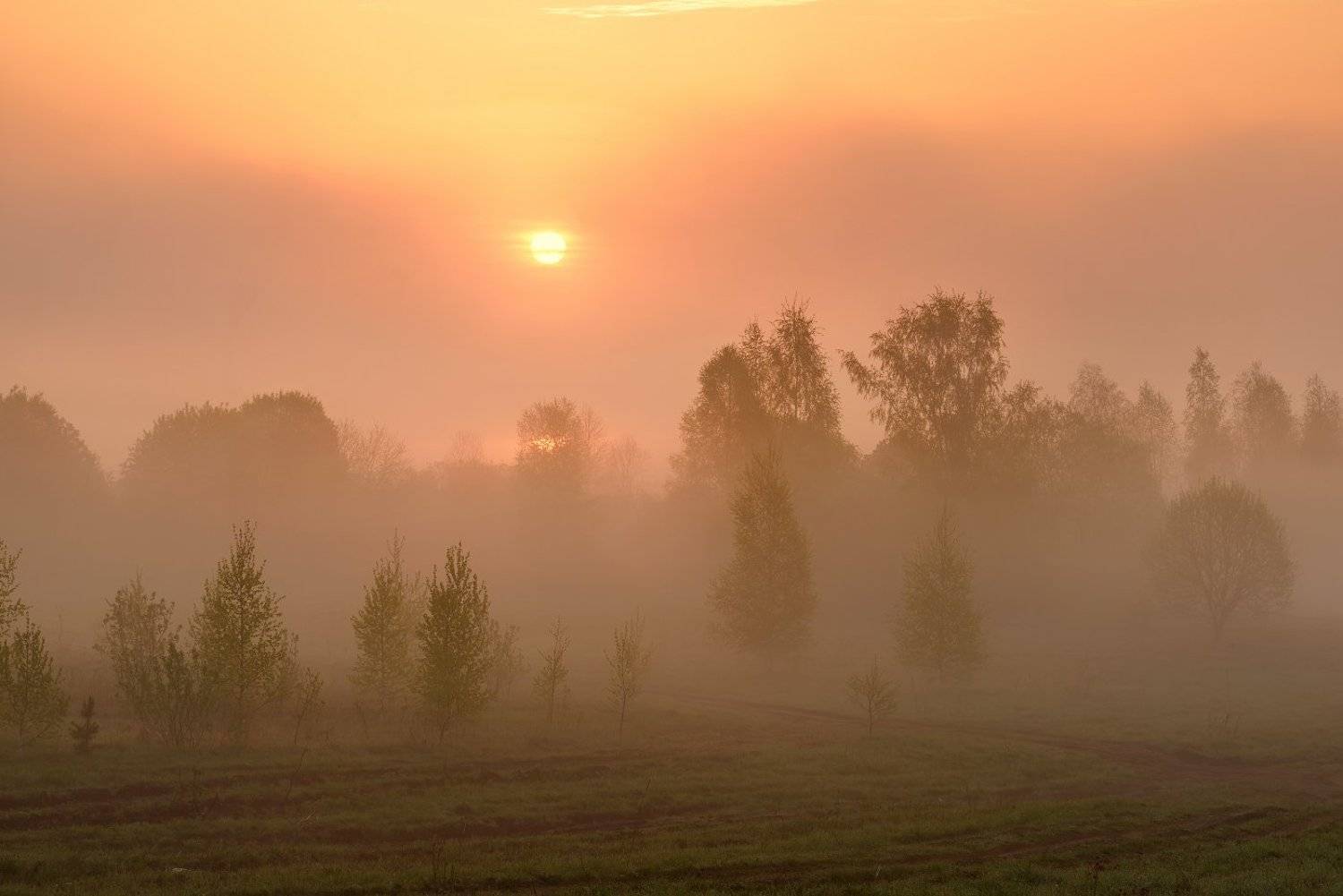 , Максим Евдокимов
