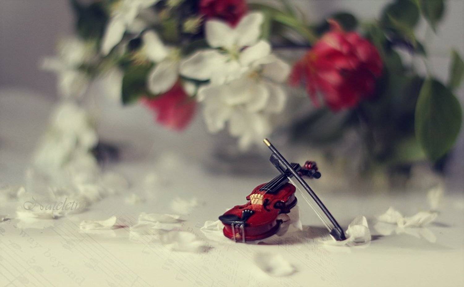 , Наталья Кузнецова (Nateletro)