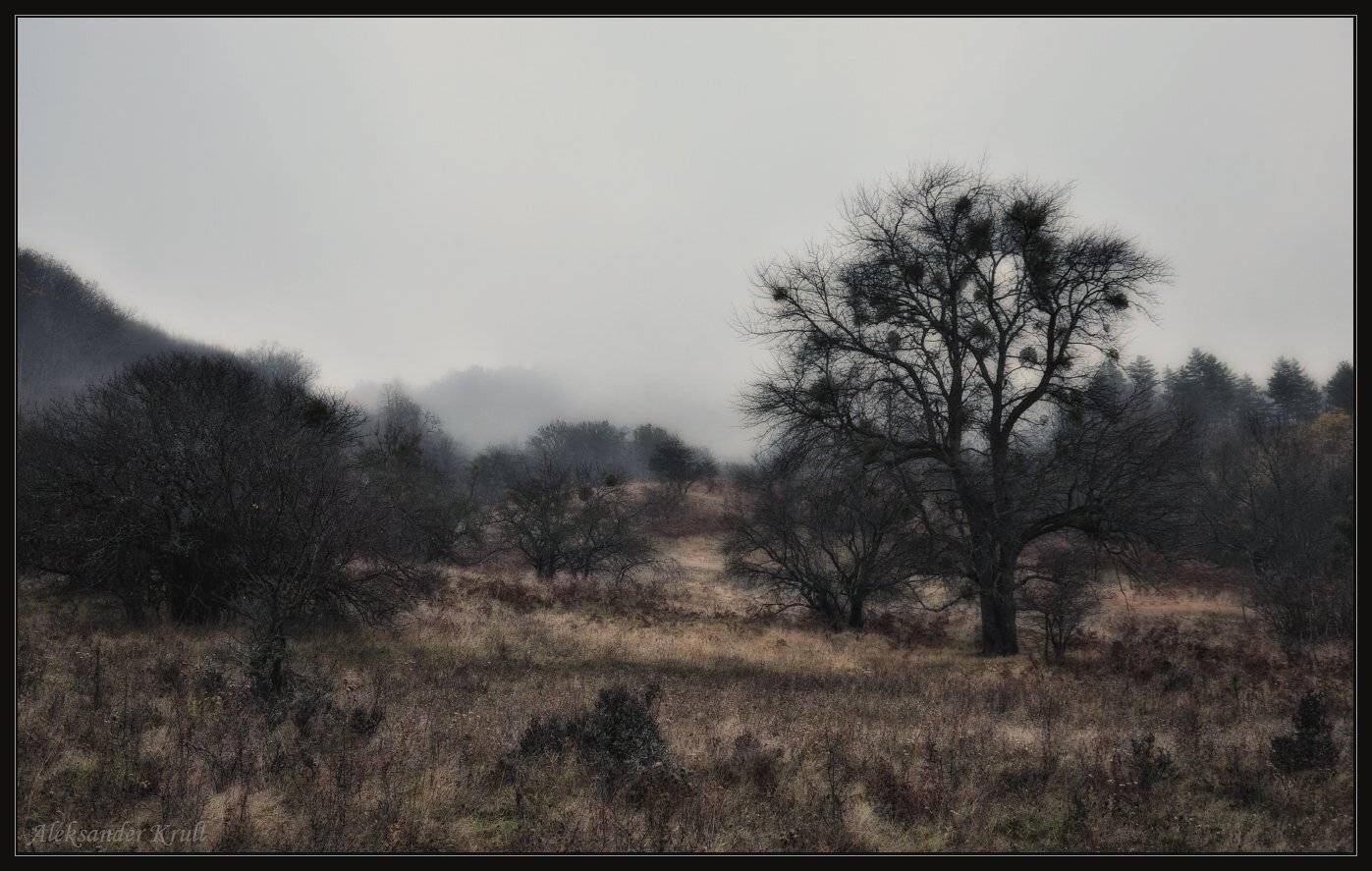 утро, туман, Александр Круль