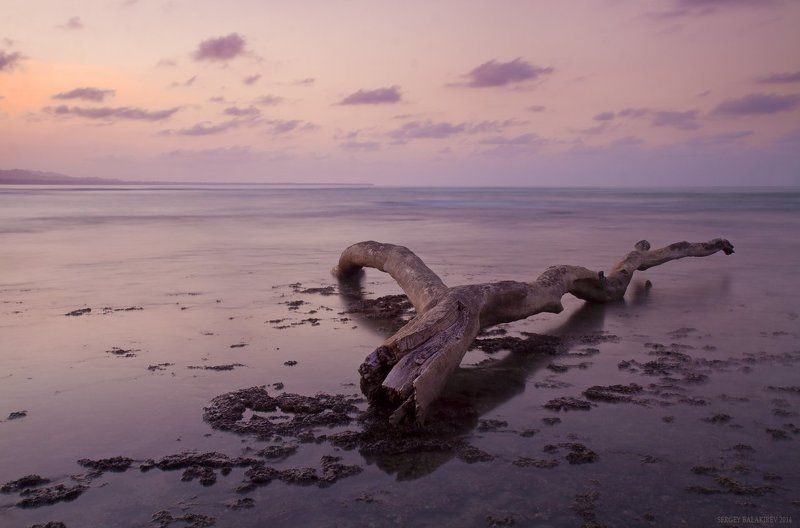 Последнее пристанище фото превью