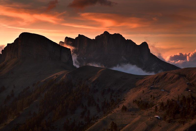 Тхачи засыпают фото превью