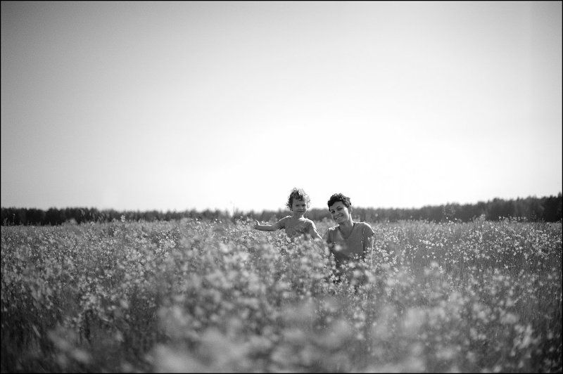 Поле колокольчиков фото превью