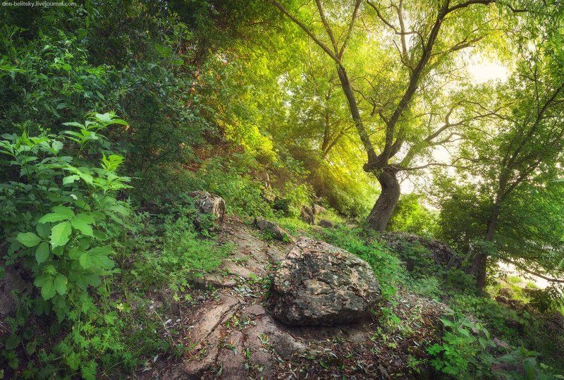 Тропинка вдоль реки Кальмиус фото превью