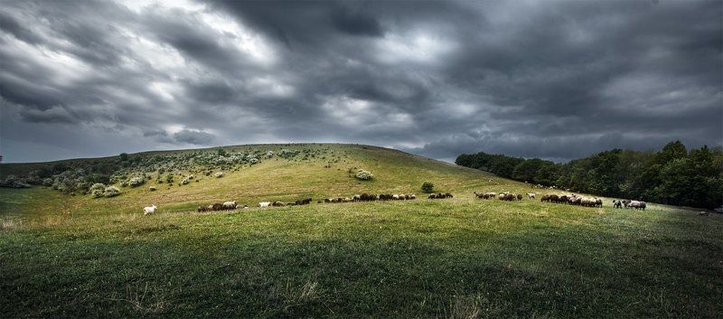 After rain фото превью