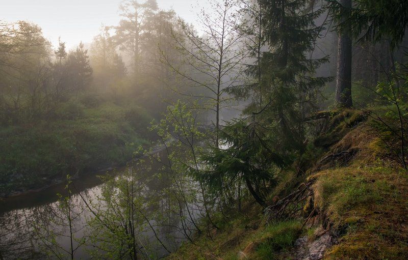 пейзаж, саров, вода, дерево, лето, лучь, отмель, песок, прозрачная, река, солечный, тихое, туман, утро Утро на тихой речке фото превью