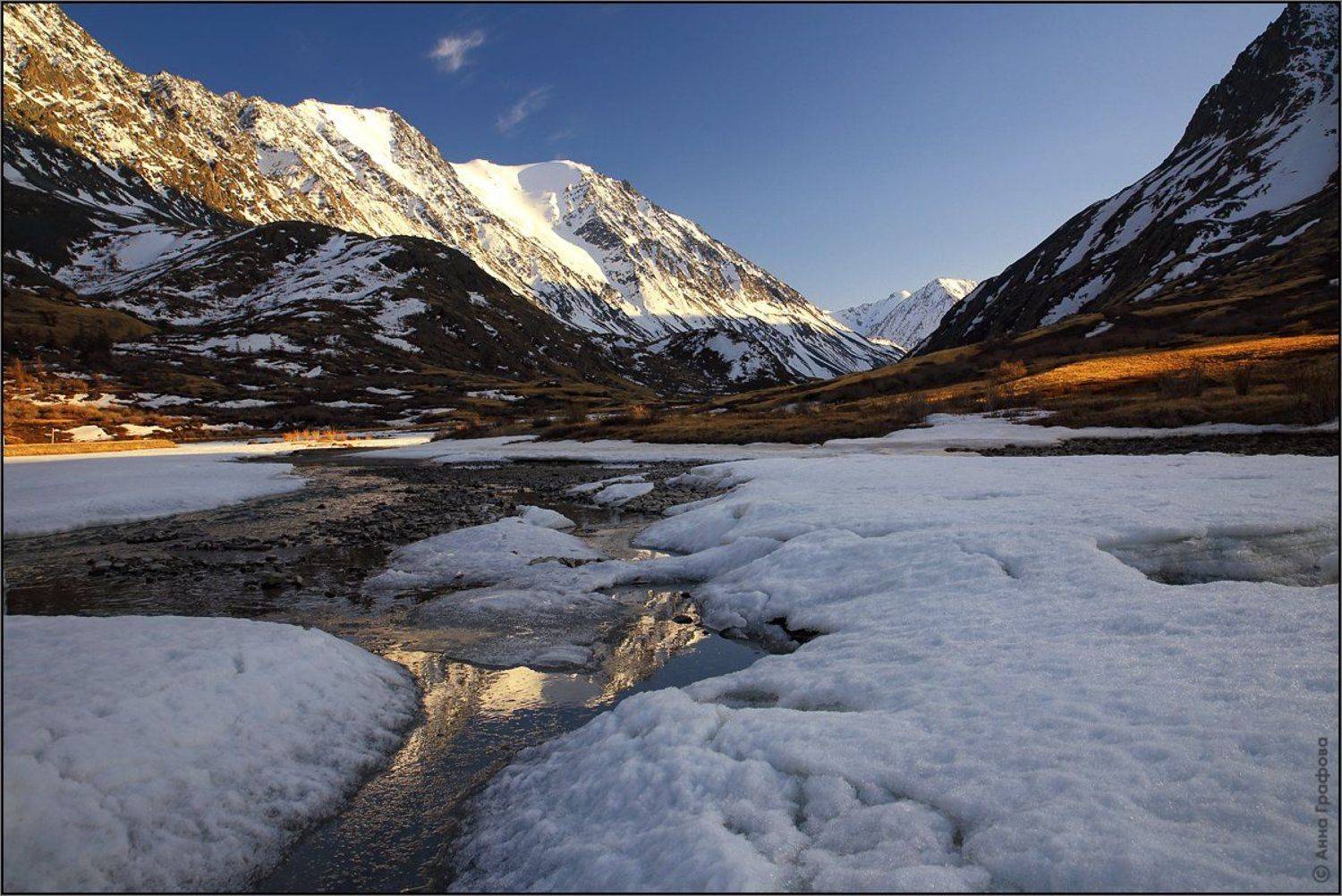 , Аня Графова