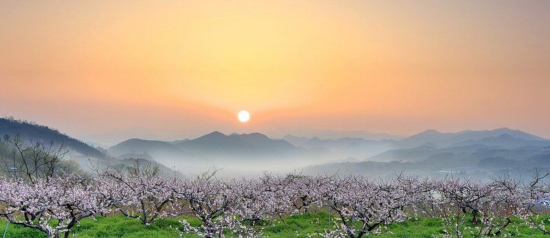 Boksakkot фото превью