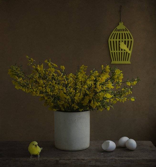 , Петрова Татьяна