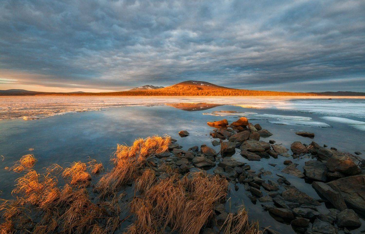 , Андрей Грачев