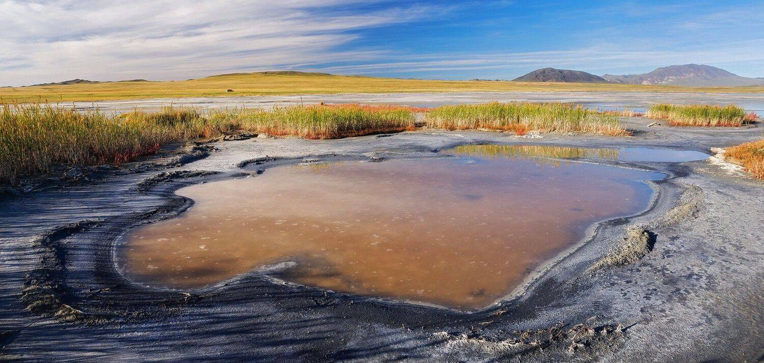 , Лещёнок Александр