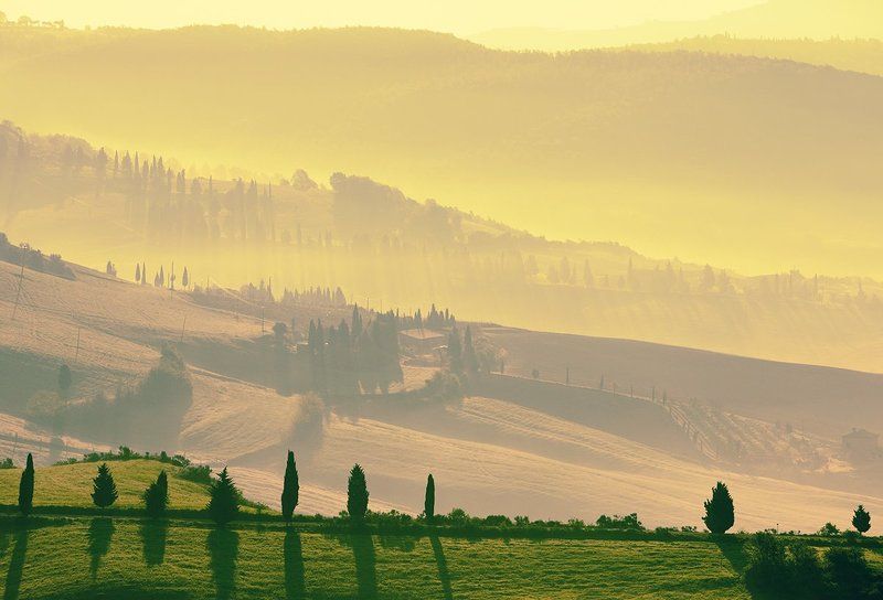 Morning фото превью