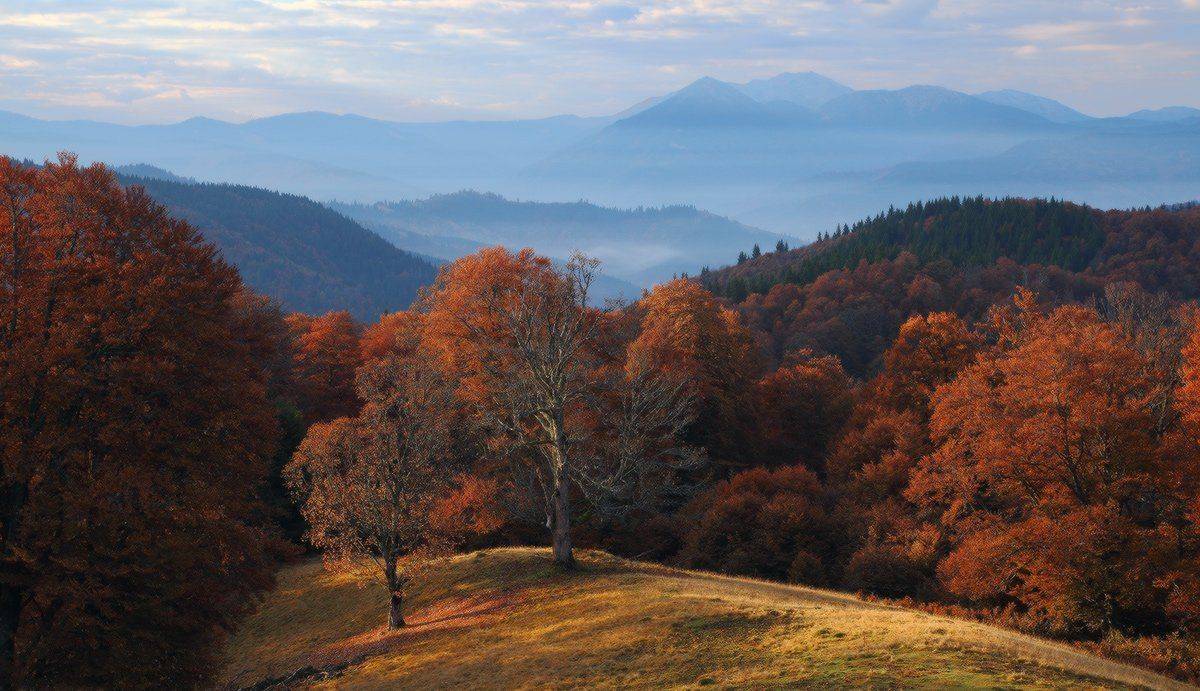 , Ярослав Тюрменко (Jaremi)