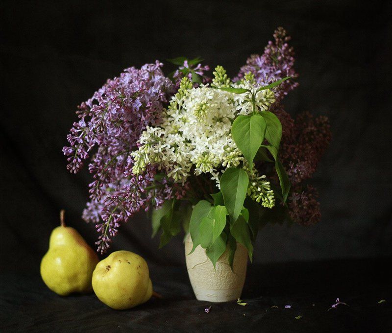 Натюрморт с сиренью и грушами фото превью