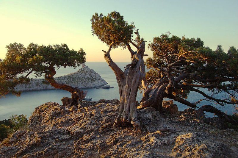 Три богатыря фото превью