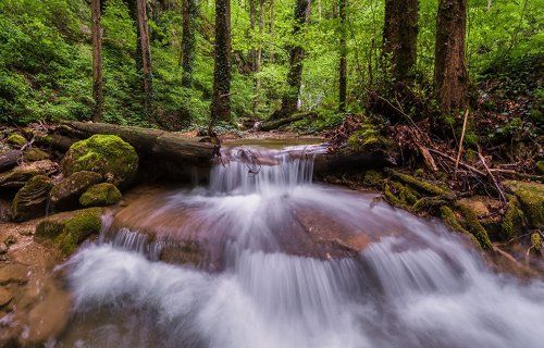 Весна Тамбовской щели или как весна зеленым рисовала