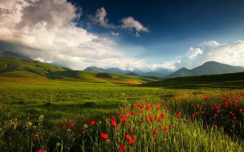 Весна продолжается...