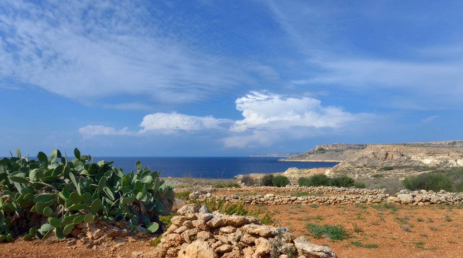 мальта, Сергей Седов