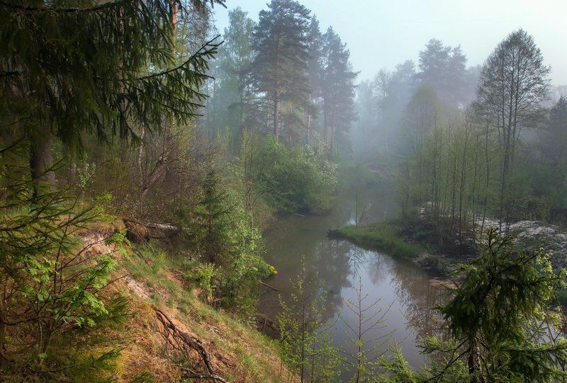 Лес, Летний пейзаж, Лето, Окресности, Пейзаж, Пейзаж с рекой, Река, Саров, Туман, Утро Утро тихой реки фото превью