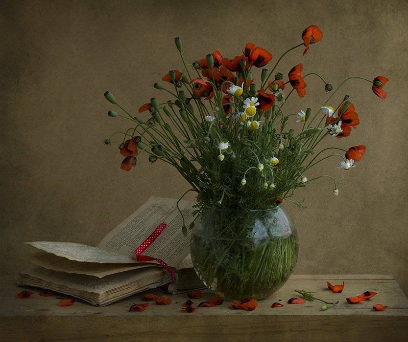 , Петрова Татьяна