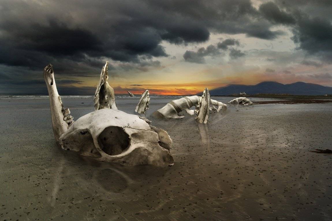 , Emilis Baltrusaitis