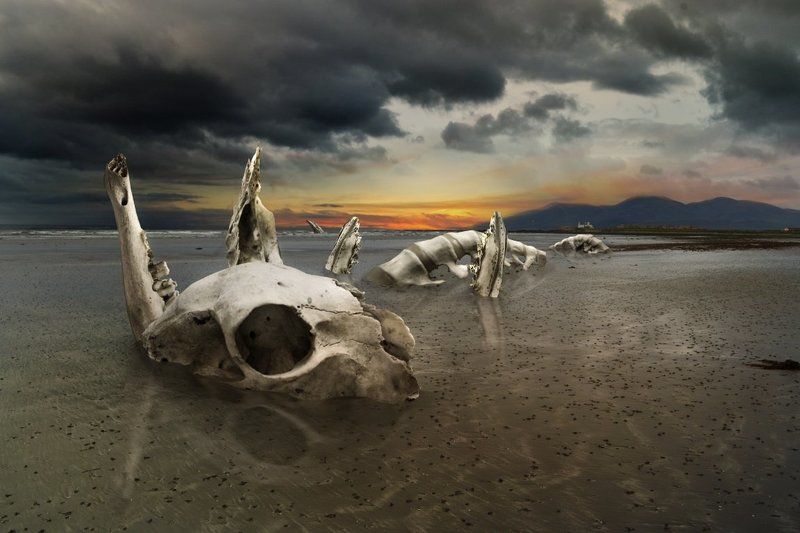 Leviathan фото превью